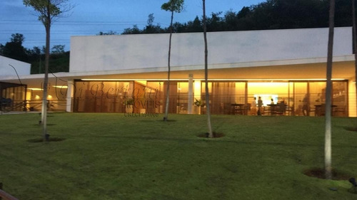 Imagem 19 de 20 de Terreno - Te00007 - 69007682