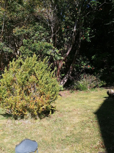 Imagen 13 de 18 de Casa En Venta En Puerto Varas