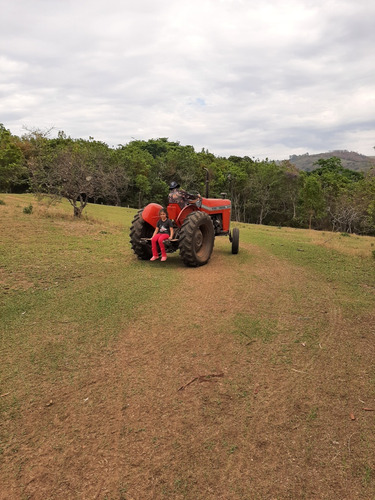 Massey Ferguson 235