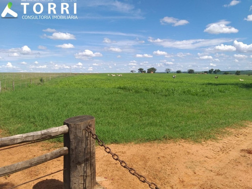 Imagem 7 de 20 de Fazenda À Venda Em Alto Alegre - Fa00176 - 69382951
