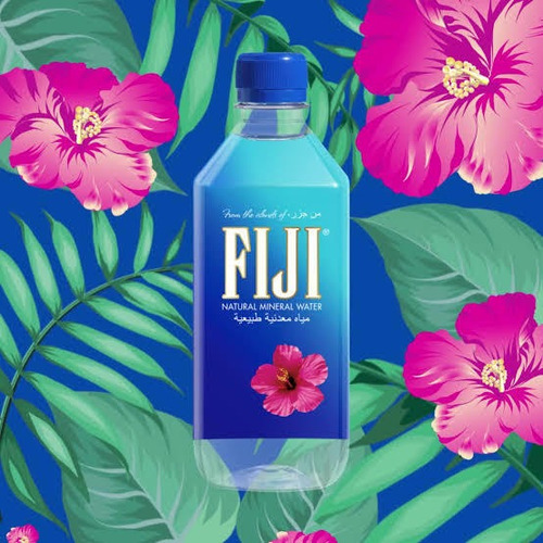 Agua Fiji 6 Botellas 500ml Artesian Water