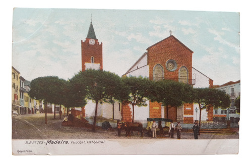 Portugal Madeira Funchal Cathedral Postal Color N°152