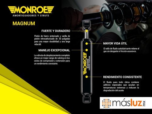 1) Amortiguador Magnum Izq/der Tras C500 81/16
