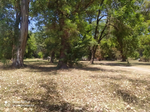 Imagen 3 de 11 de Venta Campo Moreno