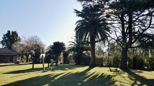 Imagen 5 de 16 de Venta | Quinta En S.a. De Areco