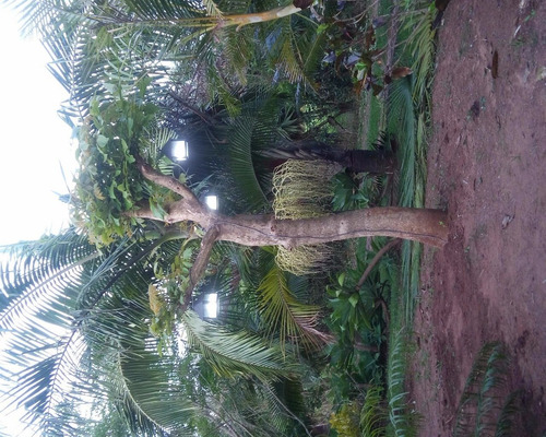 Imagem 19 de 30 de Casa - Ca01893 - 4444537