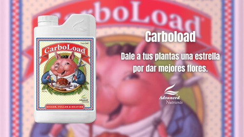 Advanced Nutrients - Carboload 4l
