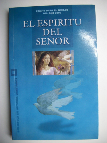 El Espiritu Del Señor Roger Etchegaray                  C111