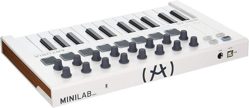 Arturia Minilab Mkii 25 Slimkey Roller Keyboard De S...