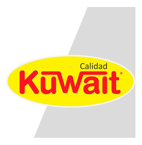 Imagen 2 de 5 de Espuma Poliuretano Expandido Aerosol 750ml Kuwait Pintumm