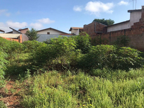 Imagem 3 de 6 de Terreno Disponível Para Venda Com Excelente Localização Medindo 250,00m² (10x25). - Te00233 - 71000891