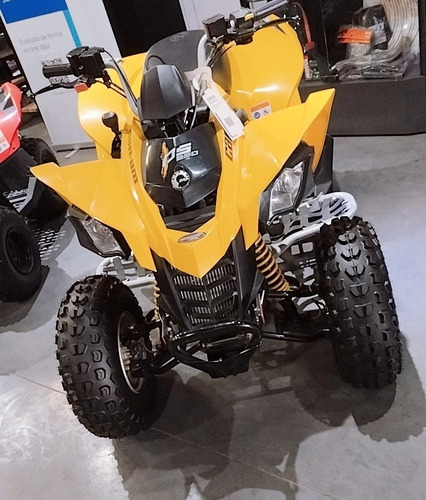 Imagen 7 de 15 de Can Am Ds 250 0km En Automoto Lanus