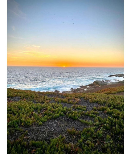 Imagen 12 de 15 de Vende Terrenos, Ritoque. Proyecto Altos De Bosquemar, Ritoqu