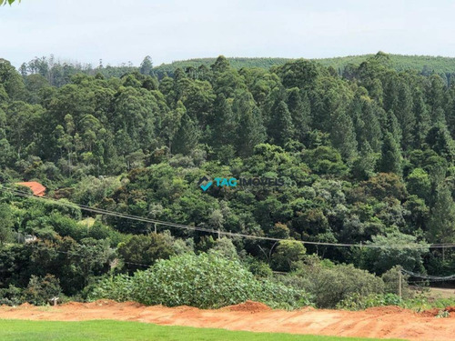 Imagem 5 de 9 de Terreno À Venda, 1100 M² Por R$ 265.000 - Morada Das Nascentes (joaquim Egídio) - Campinas/sp - Te0343