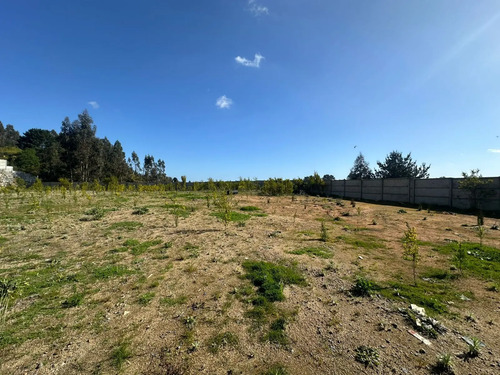 Oportunidad Venta Terreno Industrial Ruta 150 Camino A Penco
