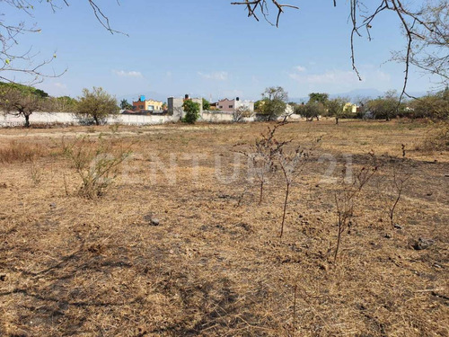 Terreno En Venta Avenida De Las Fuentes, Jiutepec Morelos