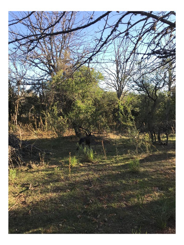 Imagen 4 de 7 de Campo En El Huayco Las Calles