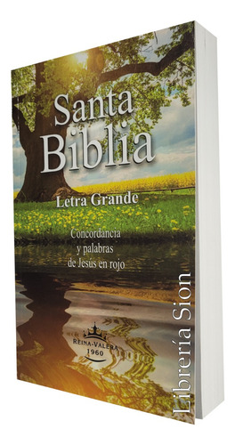 Biblia Reina Valera 1960 Letra Grande