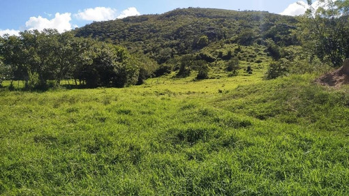 Imagen 15 de 15 de Tibisay Rojas Vende Finca A Pie De Carretera En Aguirre Cerca De Polar.cód.: 165595. Telf. 0414-4173701.