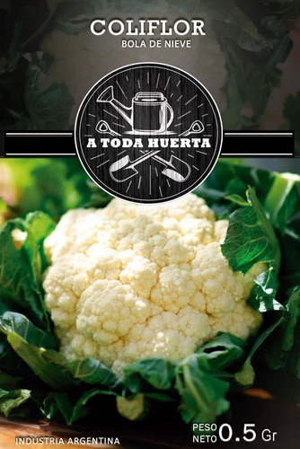 Combo Huerta Sobres De Semillas Para Plantar Todo El Año