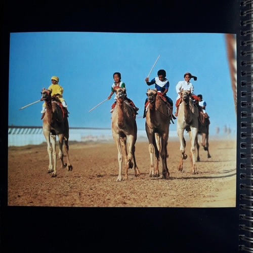 Antigua Agenda Unicef Año 1996 (Usado)