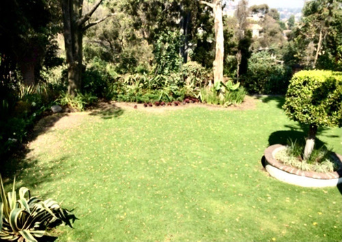 Imagen 10 de 10 de Casa Con Jardín Amplio