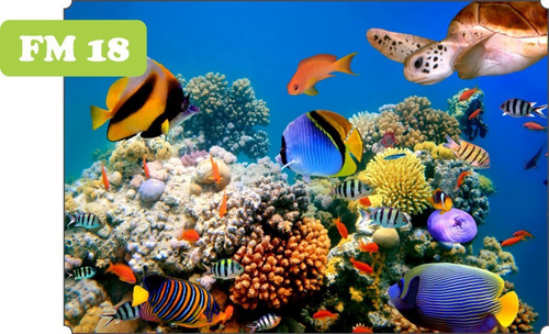Imagem 9 de 10 de Adesivo Aquário Fundo Do Mar Oceano Peixe Até 2m²