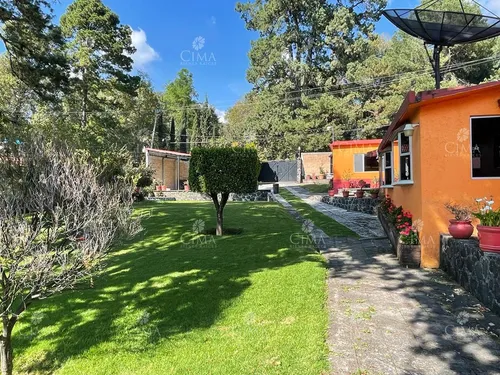 Venta Casa Jardín Con Bosque - V270