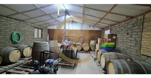 Oportunidad Venta De Campo, Viñedos - Curacaví