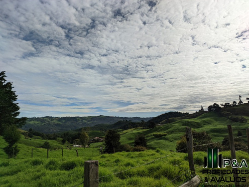 Imagen 17 de 24 de Finca En Venta En San Pedro - La Palma