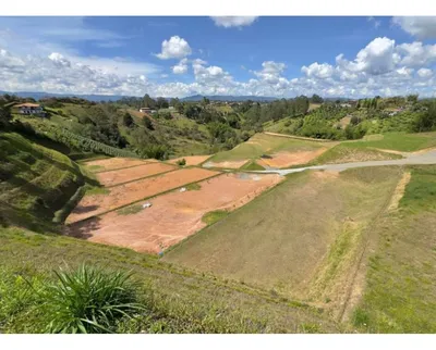 Lote y casalote en venta