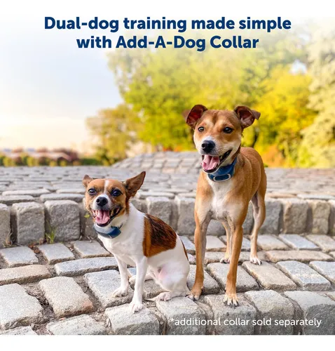 Petsafe - Collar De Entrenamiento Remoto Para Perros To.