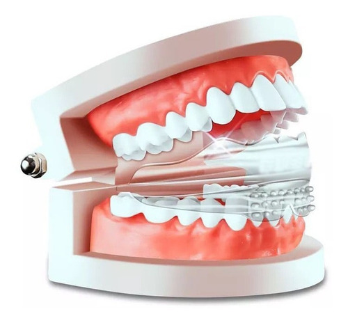 Imagen 2 de 6 de Dentadura Falsa De Gel Sonrisa Blanca