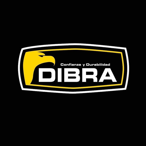 Imagen 6 de 7 de Corta Césped Nafta Dibra 4.5hp Chasis Acero Motor B&s 9 Pos
