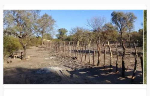 Imagen 6 de 19 de Campo - El Chacho