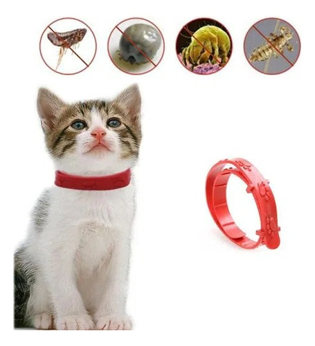 Collar Antipulgas Para Gato X6