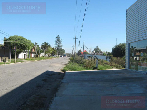 Imagen 3 de 12 de Local - Colonia Del Sacramento