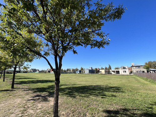 Imagen 8 de 9 de Venta Terreno Barrio Las Casuarinas