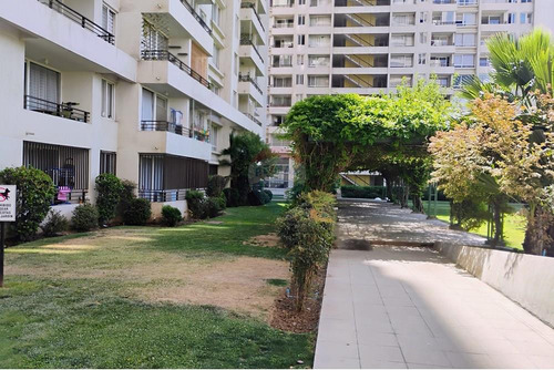 Vive En Macul: Departamento Mariposa Amoblado