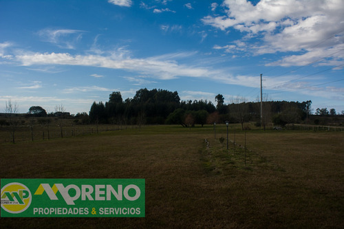 Imagen 7 de 14 de Salon De Eventos En Venta, San Jose, Entre Rios