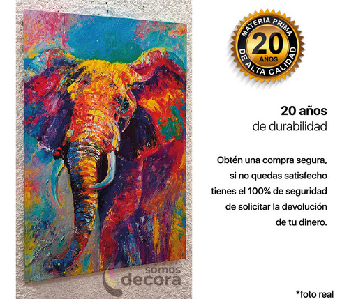 Cuadro Escultura Dios Griego Colores Canvas 60x90 Esc18