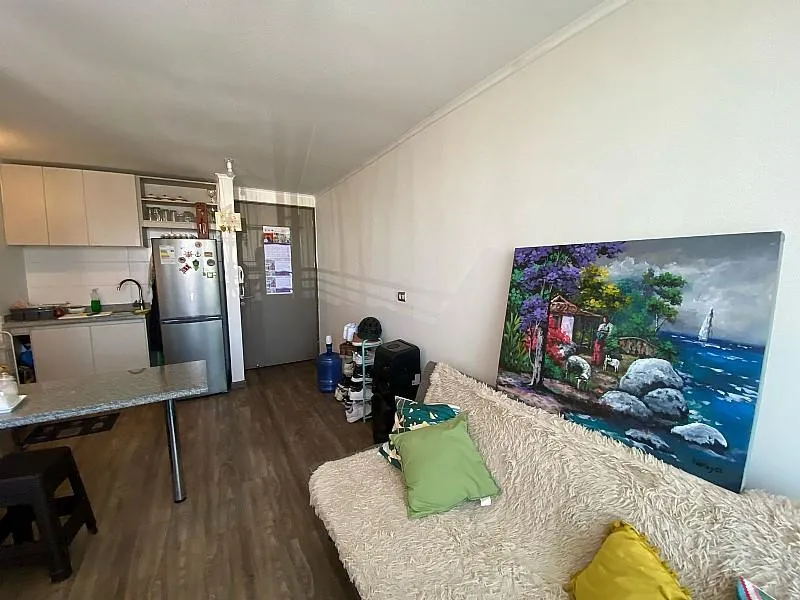 Imagen 3 de 18 de En Venta Amplio Y Luminoso Departamento Tipo Estudio