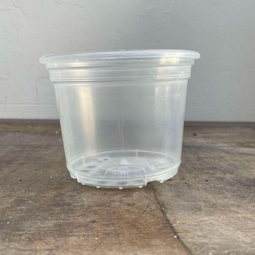 Kit 12 Vasos Transparentes Plástico Orquídea Adulta Pote 15