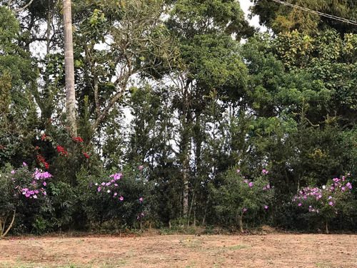 Chacaras De 2.000m² Cada, Á 10 M Do Chopin, Plana. - V147