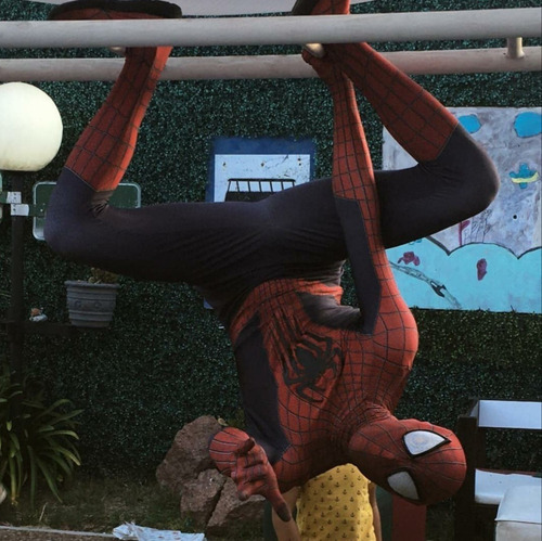 Imagen 5 de 5 de Hombre Araña