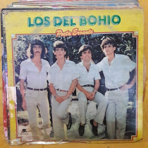 Vinilo Los Del Bohio Poeta Errante C4