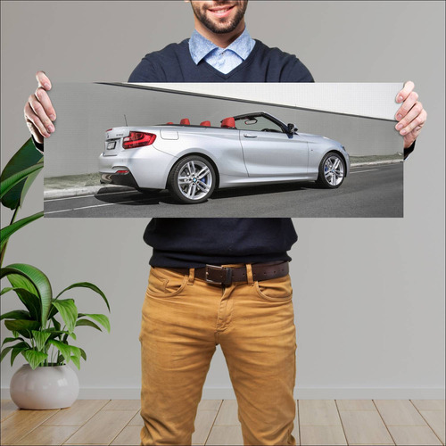 Cuadro 30x80cm Auto 2015 Bmw 2 Series Convertibl 252