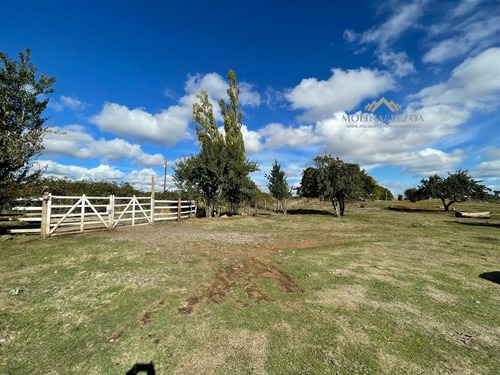 Sitio En Venta En Curacautín