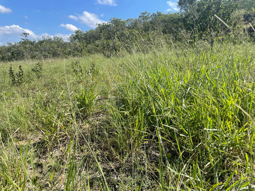 Linda E Bem Localizada Fazenda Venda 11 Km Da Br 259 Gouvei