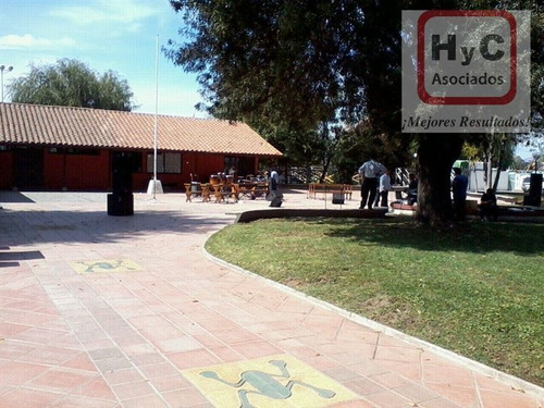 Imagen 15 de 21 de Venta Terreno 7500 M2 Con Bosque, En Idahue ¡mejor Precio!